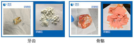 骨骼牙齒粉碎儀研磨實(shí)驗(yàn)案例效果圖