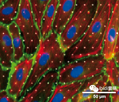 1689835948170326.png 638254587350384013495.png