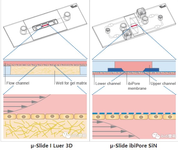 1689836136170305.jpg 15.JPG