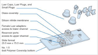 1689836155200864.png 171.png