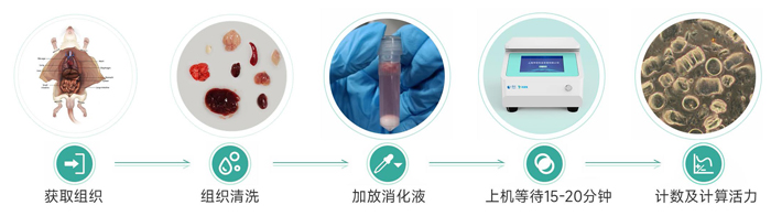 1724923475490733.jpg 單細(xì)胞懸液制備儀操作流程.jpg