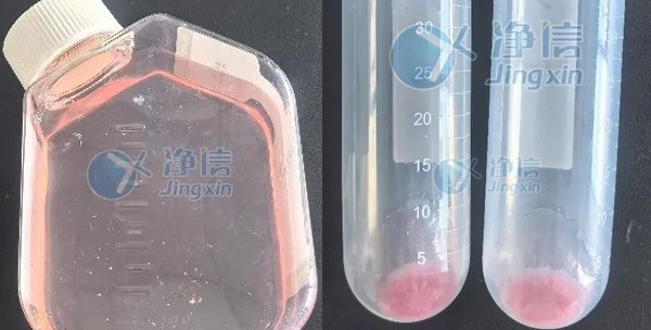 1732527134953297.jpg 1732527134953297.jpg