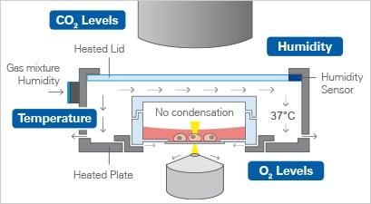 1734331049117964.png ibidi加熱系統(tǒng).png