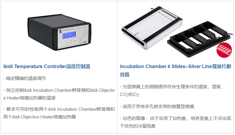 1734331097502594.png 1734331097502594.png