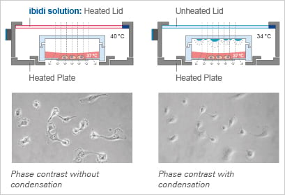 1734332785157727.png 無凝露的出色圖像.png