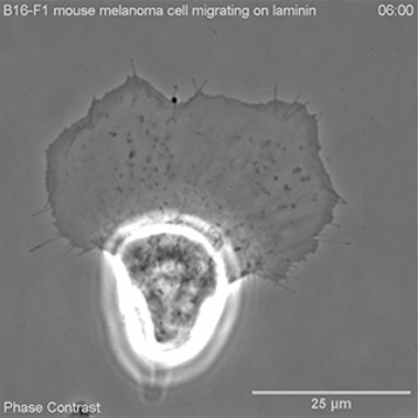 1734332869131206.png QQ截圖20241216150358.png