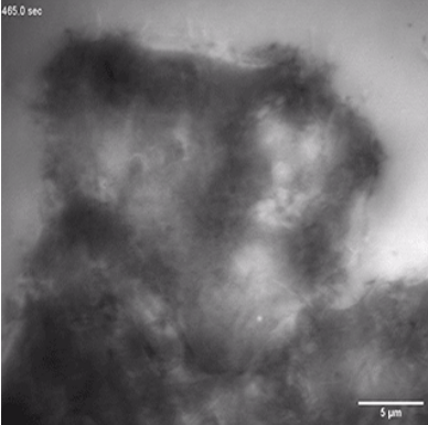 1734332882836614.png QQ截圖20241216150417.png