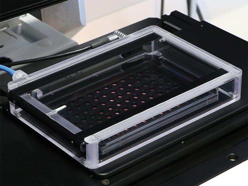 1734578697859066.png 1734578697859066.png