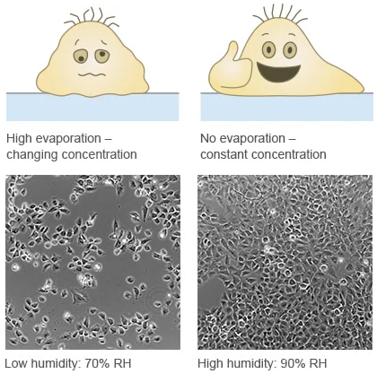 1735092459949861.jpg 4d7e5c19f0f3567160f87141a2f2c6c6.jpg