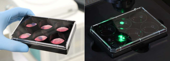 1735610194114239.png QQ截圖20241231095624.png