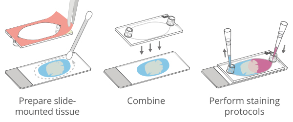 1735612223175000.png 5b43747d2552bf0e80617942d50c053a.png