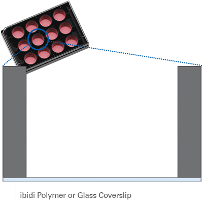 1763606248119538.gif 39f680fdafc07ff0ddaa0c092e346a33.gif