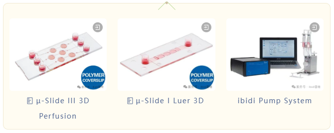 1764049107135680.png 3b98fc9042a244ce79719e8080b662da.png