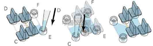 細(xì)胞趨化實(shí)驗(yàn)新方法(二)--實(shí)時(shí)觀察細(xì)胞動(dòng)態(tài)
