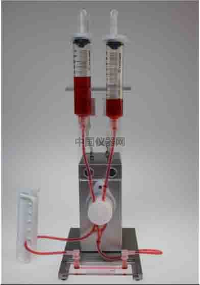 流體剪切力實驗：流體環境下的HUVEC細胞培養，真實還原體內環境