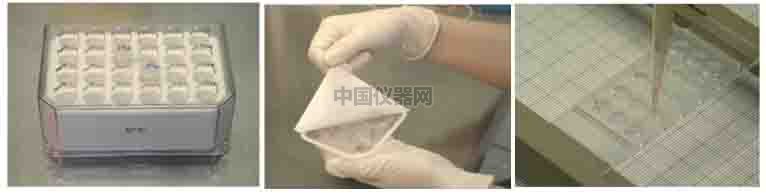 血管生成--甲狀腺轉(zhuǎn)錄因子-1（TTG-1）影響肺癌細胞血管生成