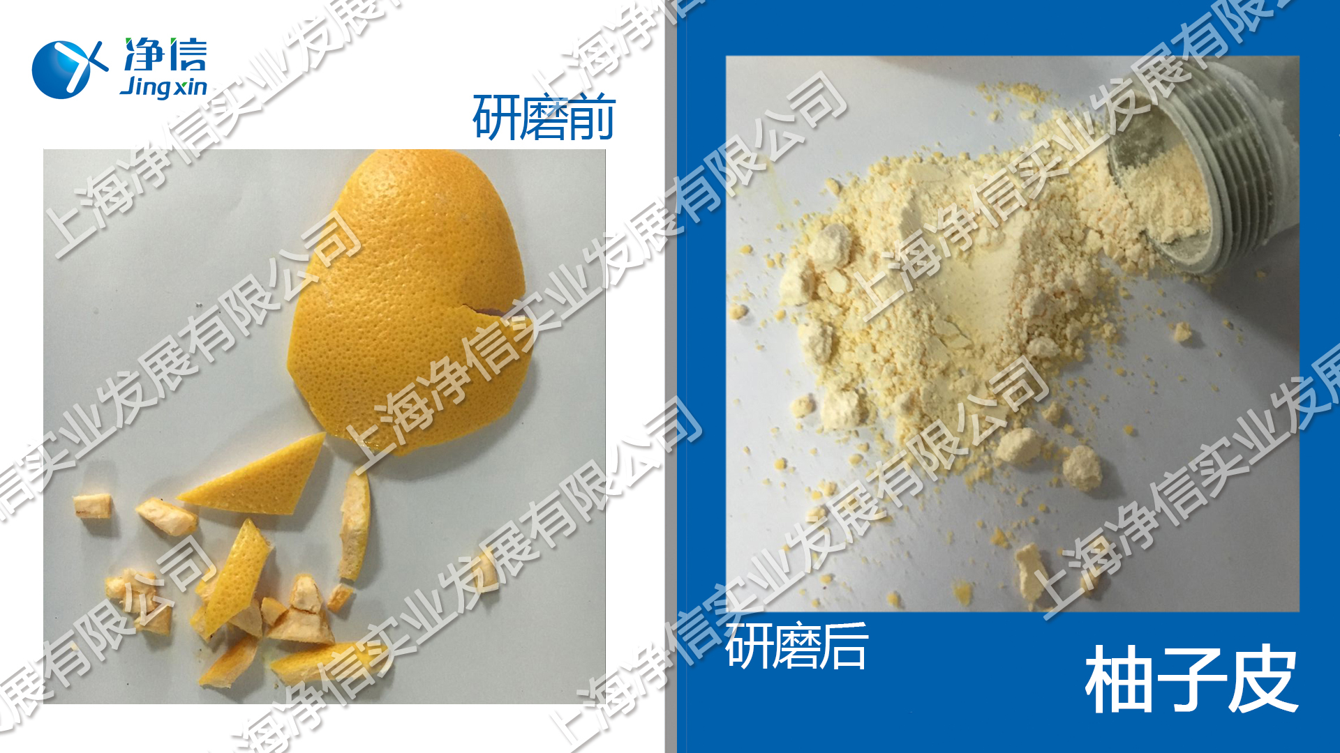 多樣品組織研磨儀 型號(hào)：Tissuelyser-96