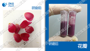 多樣品組織研磨儀 型號(hào)：Tissuelyser-96