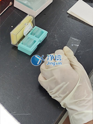 全自動研磨樣品測試圖