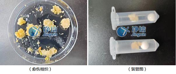 樣品研磨效果圖