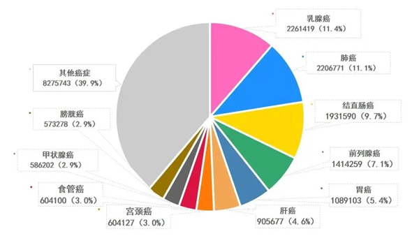 新發癌癥類型、人數及占比