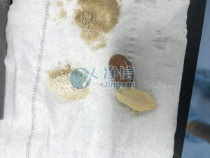 樣品研磨效果圖