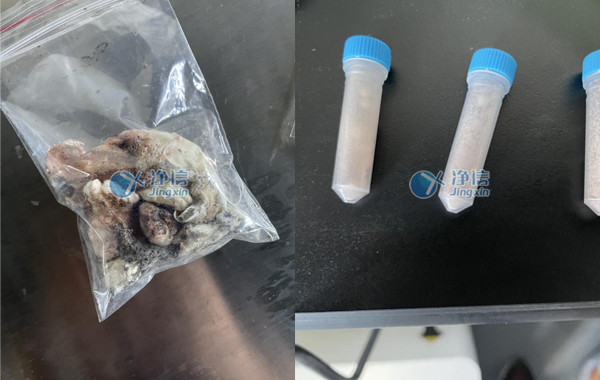 樣品研磨效果圖