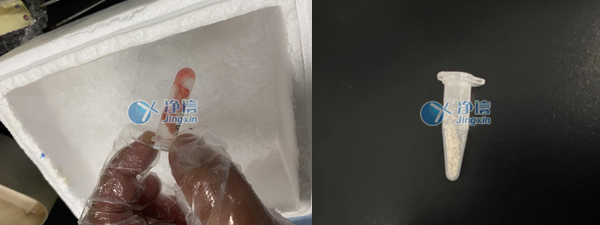 樣品研磨前后效果圖